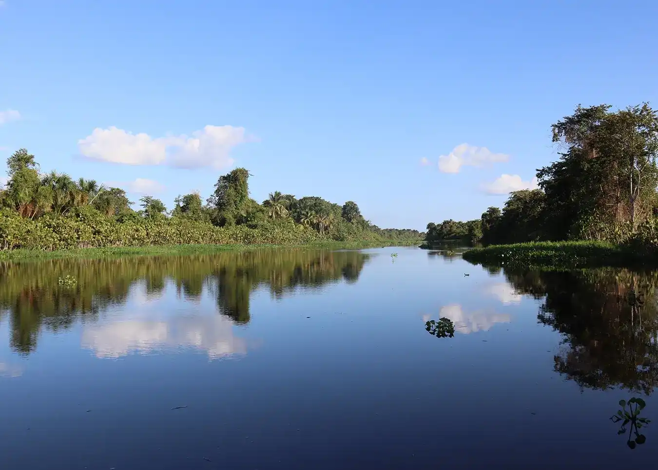 Navega las aguas tranquilas del río en el Delta del Orinoco